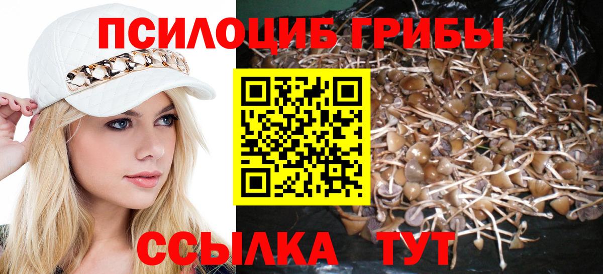 Псилоцибиновые грибы мицелий Соль-Илецк