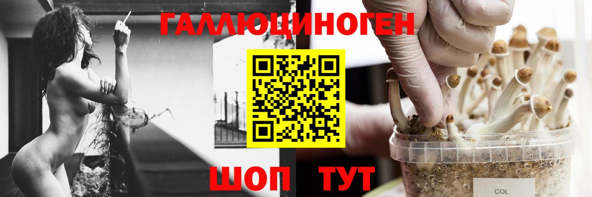 Соль-Илецк  Псилоцибиновые грибы GOLDEN TEACHER  Вход с VPN 